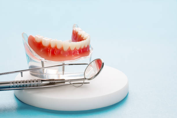 Trusted Bradley, IL  Holistic Dental Services Experts